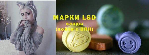 амф Магас
