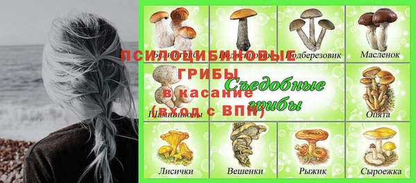 прущие грибы Лихославль