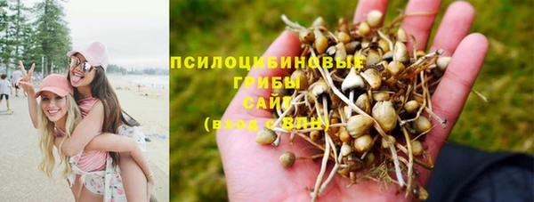 гидропоника Магадан