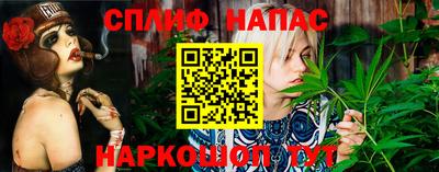 мет Камышлов