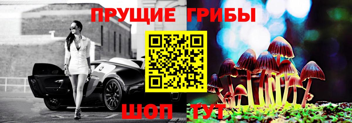Галлюциногенные грибы GOLDEN TEACHER  Вход с VPN  где можно купить наркотик  Туапсе 